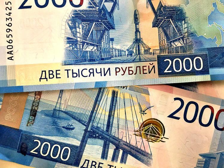 Предпринимателей Архангельской области из сферы торговли научат распознавать поддельные банкноты