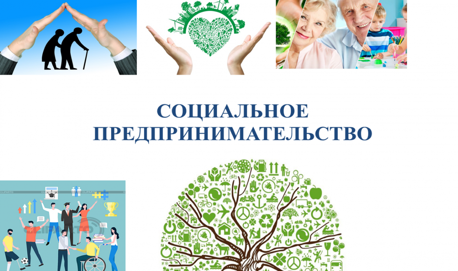В Архангельской области подведены итоги конкурса по присвоению субъектам МСП статуса социального предприятия