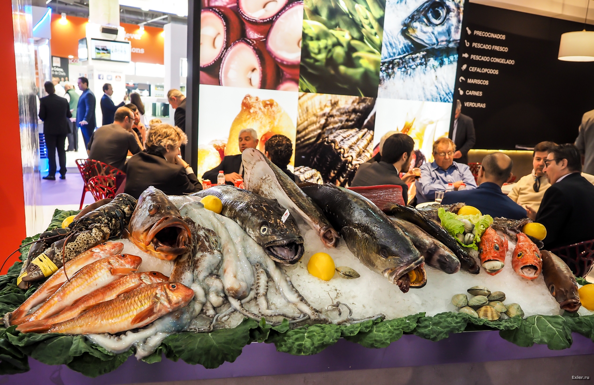 Компании рыбной отрасли Поморья приглашаются на международную выставку в Испании